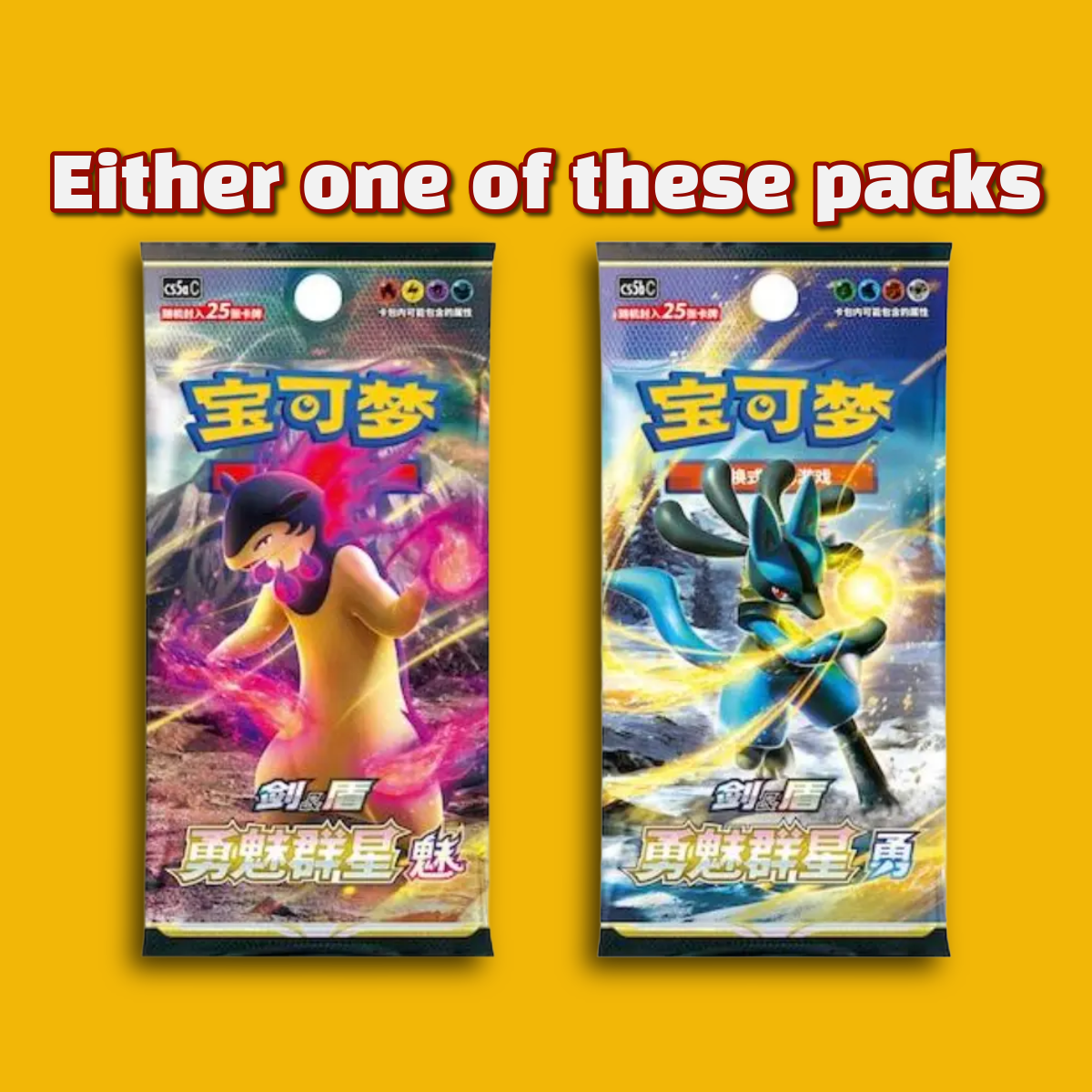 Simplified Chinese Charizard Keychain Blind Box! (Charizard is NOT guaranteed)